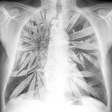 marihuana a rak płuc
